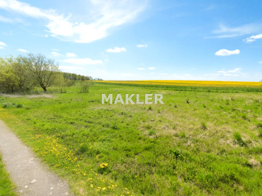 Działka budowlana Serock