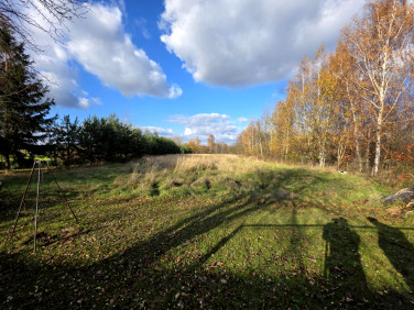Działka budowlana Trzciana