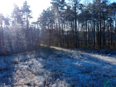 Działka budowlana Zielona Góra