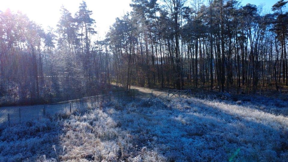 Działka budowlana Zielona Góra