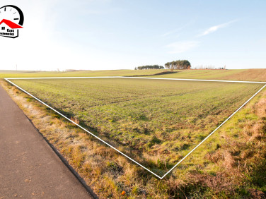 Działka rolna Obielewo
