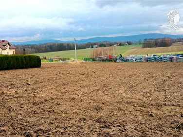 Działka budowlana Osiek