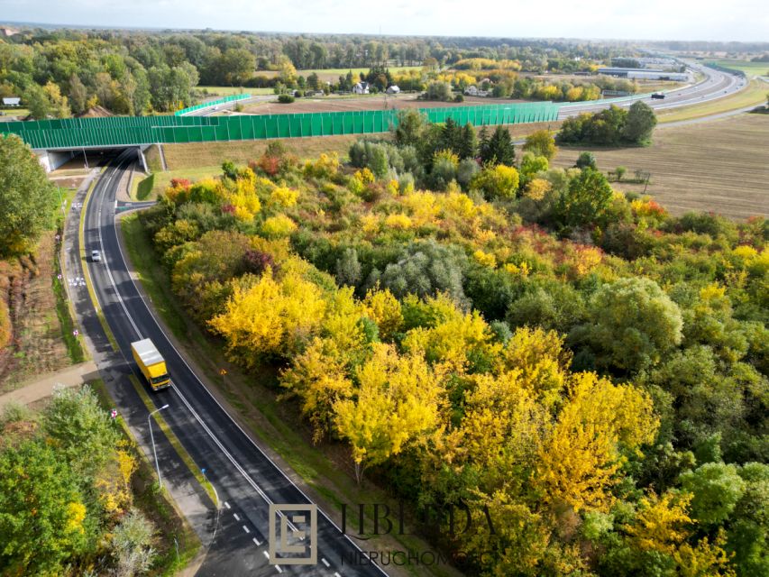 Działka usługowa Sady