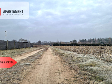 Działka usługowa Kolankowo