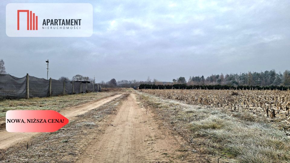 Działka usługowa Kolankowo