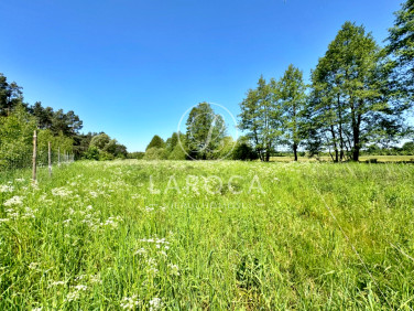 Działka Czarne Błoto