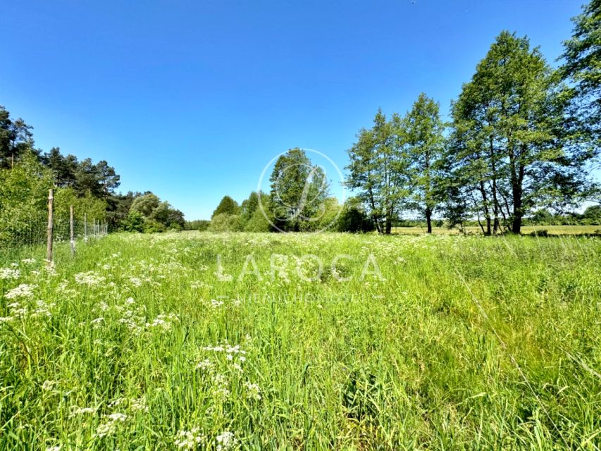 Działka Czarne Błoto