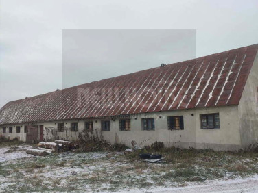 Działka inwestycyjna Dzikowo