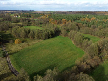 Działka rolna Gutowo