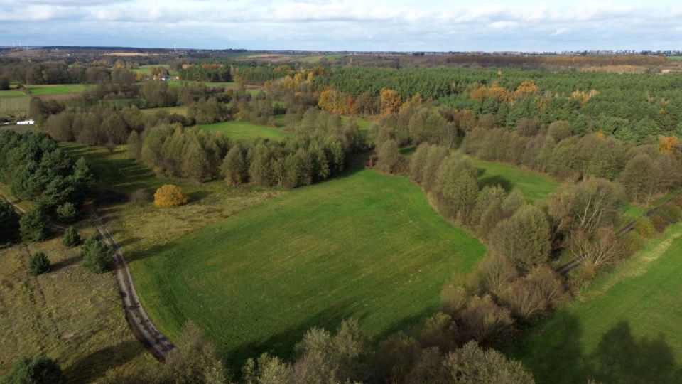 Działka rolna Gutowo