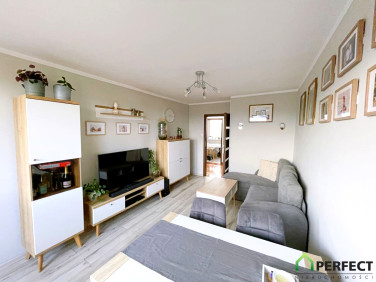 Mieszkanie Jelenia Góra sprzedaż