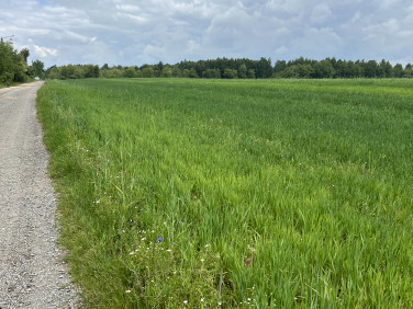 Działka budowlana Gorzelnia