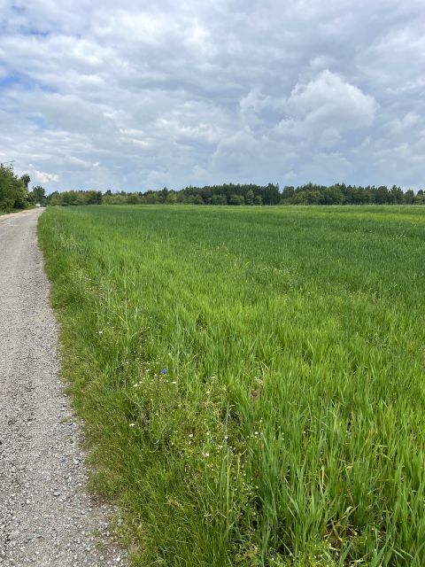 Działka budowlana Gorzelnia