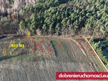 Działka budowlana Kołaczkowo