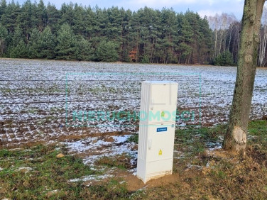 Działka siedliskowa Wygoda sprzedam