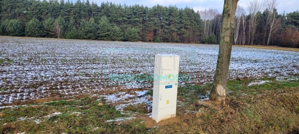 Działka siedliskowa Wygoda sprzedam