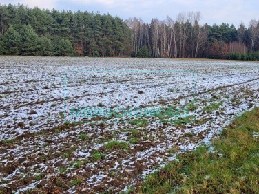 Działka siedliskowa Wygoda