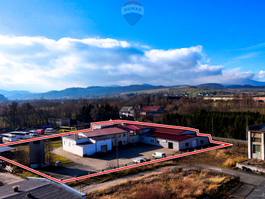 Lokal Kamienna Góra