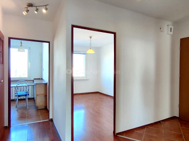 Mieszkanie Rybnik sprzedaż