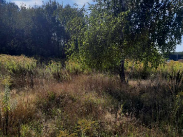 Działka budowlana Ojrzanów