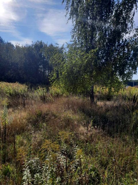 Działka budowlana Ojrzanów