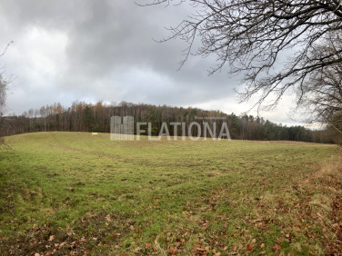 Działka rolna Paraszyno