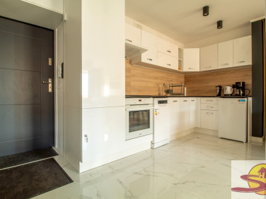 Mieszkanie Radom wynajem