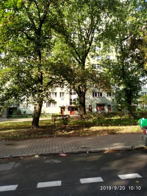 Mieszkanie blok mieszkalny wynajem