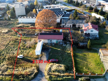 Lokal Aleksandrów Łódzki