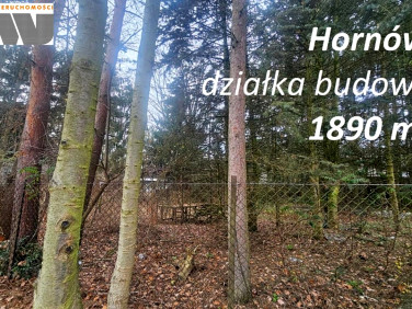 Działka budowlana Hornówek