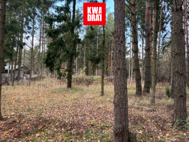 Działka budowlana Czarnów