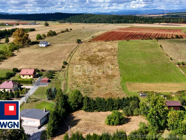Działka Stara Łomnica