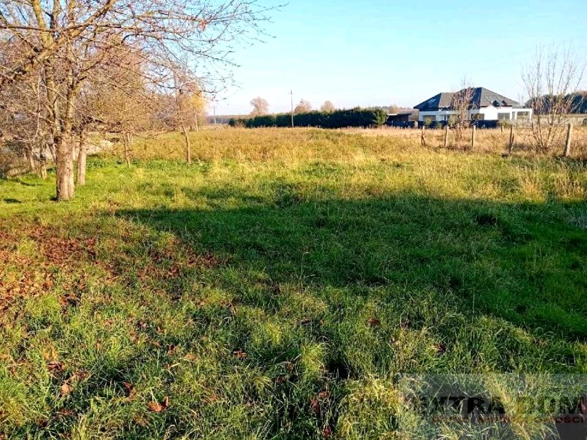 Działka budowlana Dolice