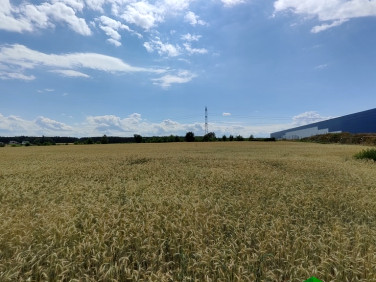 Działka inwestycyjna Kruszów sprzedam