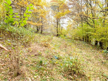 Działka rolna Żywiec