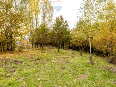 Działka leśna Żywiec