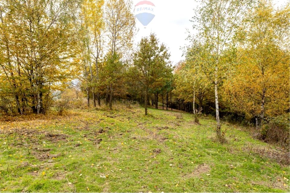 Działka leśna Żywiec