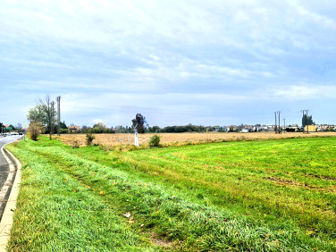 Działka inwestycyjna Czerniejewo