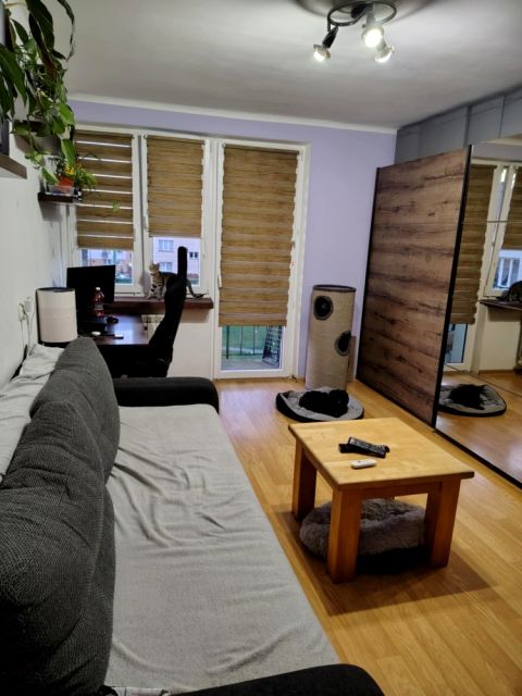 Mieszkanie Sochaczew