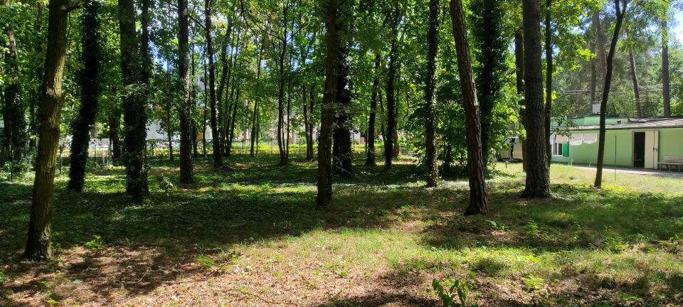 Działka budowlana Podkowa Leśna