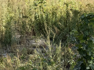 Działka budowlana Legionowo