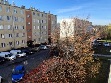 Mieszkanie Stalowa Wola