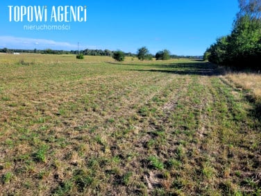 Działka budowlana Wola Krakowiańska