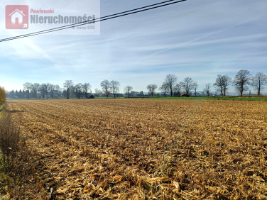 Działka Prandocin-Iły