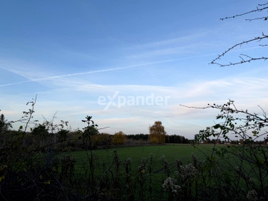 Działka budowlana Gruszczyn sprzedam