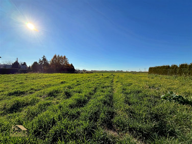 Działka budowlana Pszczyna