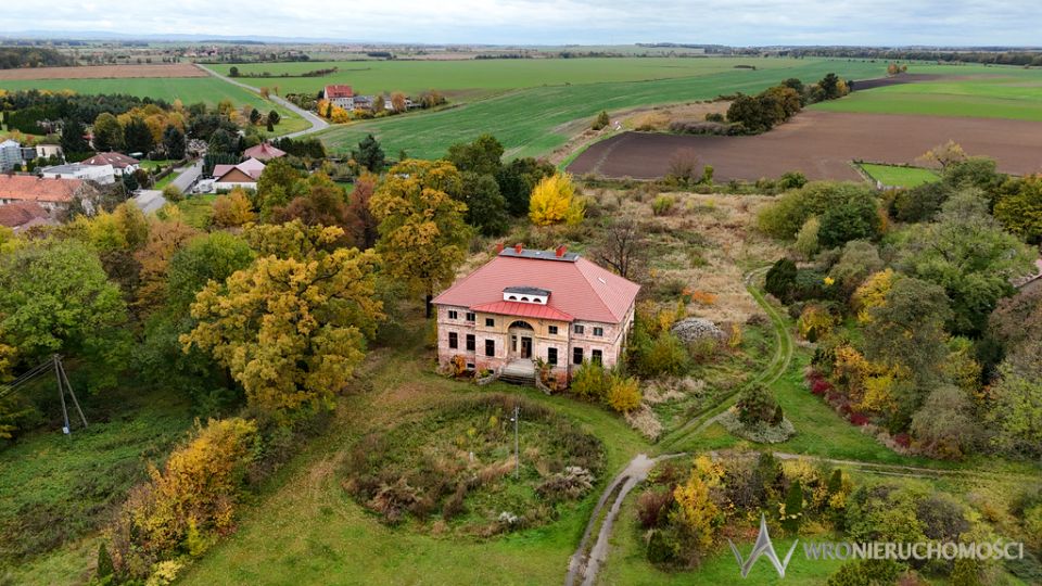 Budynek użytkowy Ciechów