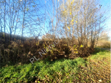 Działka rolna Zboiska