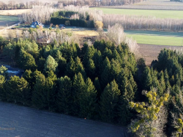Działka budowlana Pasikonie