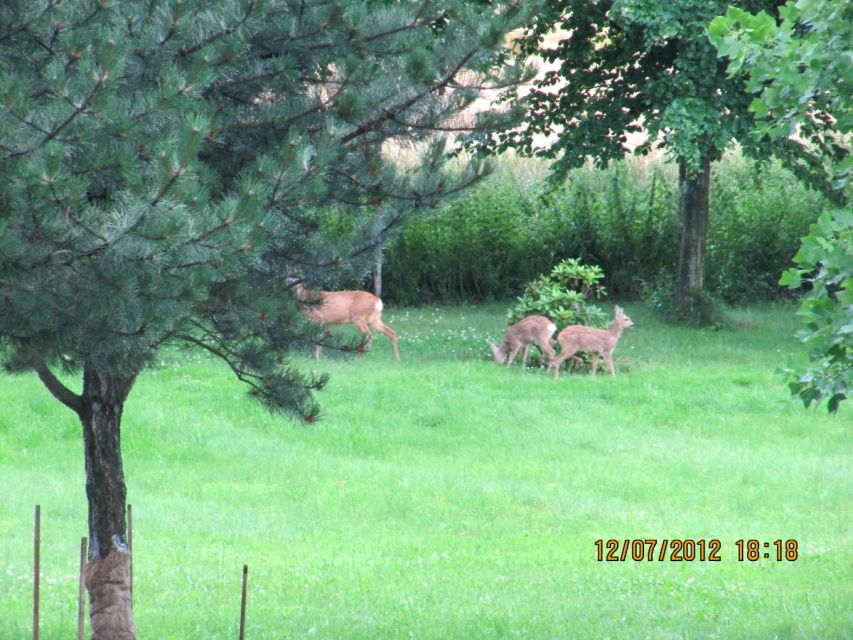 Działka budowlana Chyby